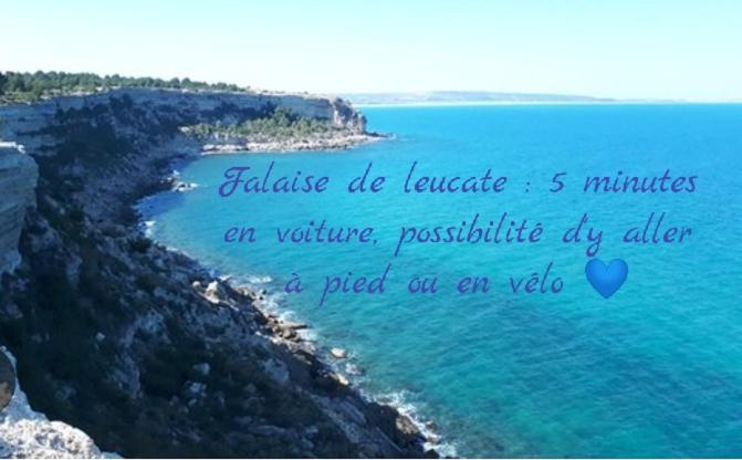 Escale Au Sud, Un Appart Les Pieds Dans L Eau :) 르발카레스 외부 사진